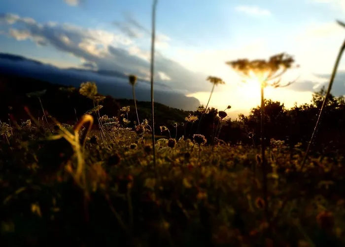 Pezzelelle Tatil Evi *